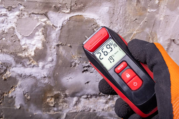 Best Attic Mold Removal  in Waynesburg, PA