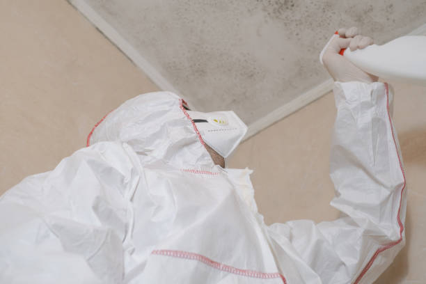 Best Residential Mold Removal  in Waynesburg, PA